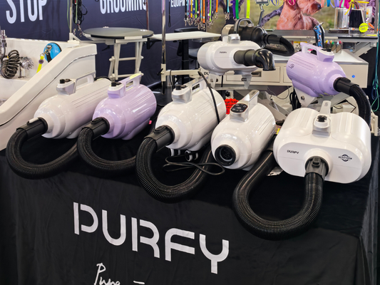 What Is a Dog Dryer and How Does It Work?